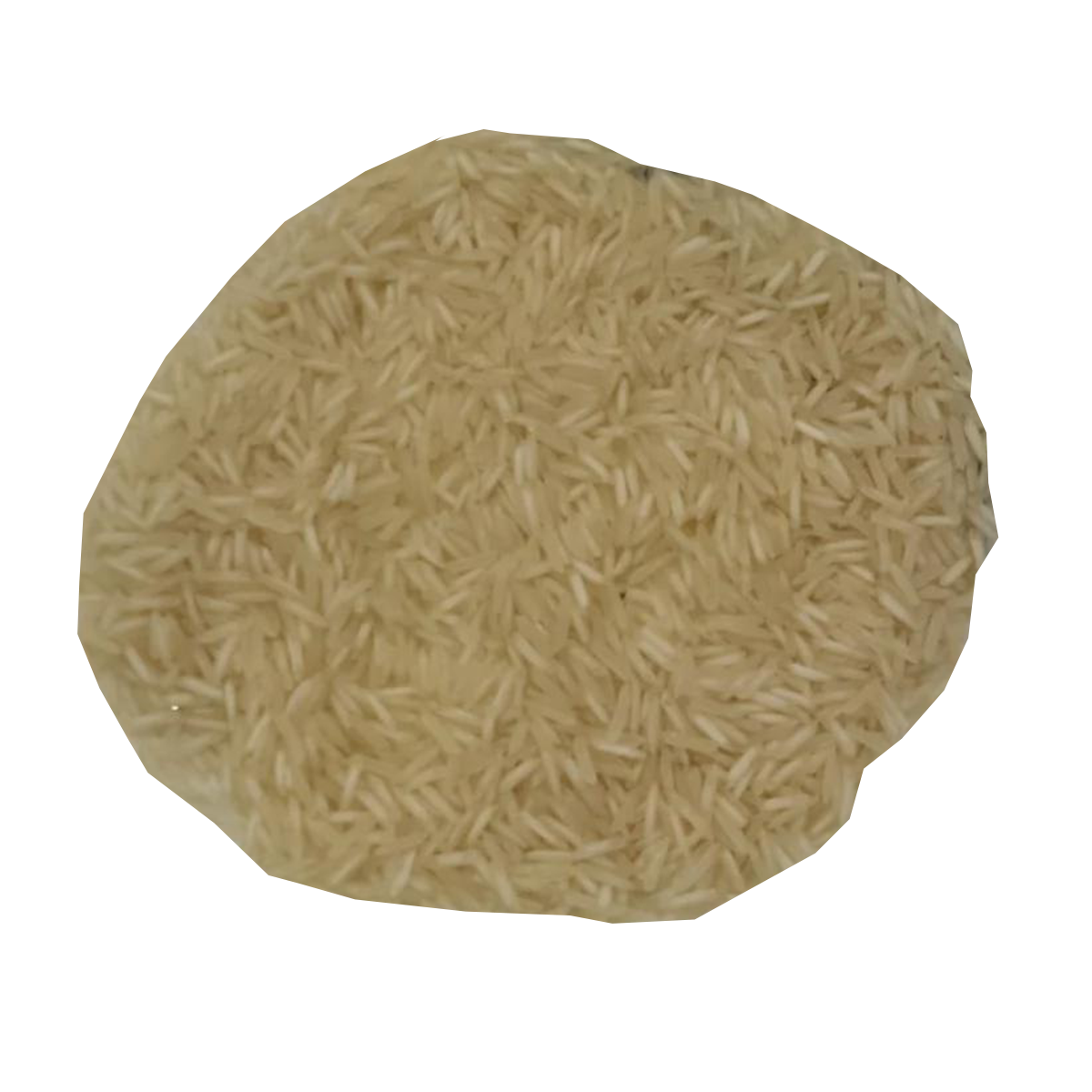 1509 Basmati Rice